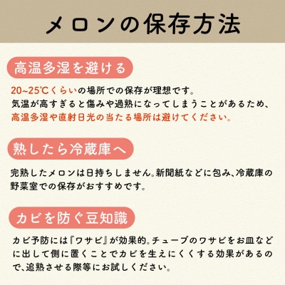 【2025年先行受付】【2025年7月後半発送】メロン 約 5kg 秀～優 ( 青肉 3～6玉 )