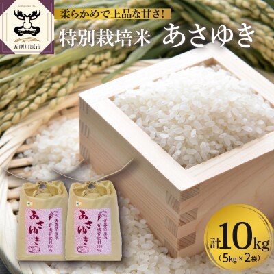 【令和8年産米】【先行受付】 米 あさゆき 10㎏ 特別栽培米 青森県産