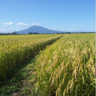 【令和7年産米】 米 あさゆき 10㎏ 特別栽培米 青森県産