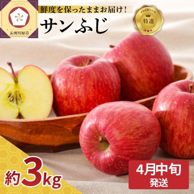 【2026年4月中旬発送】特選 りんご サンふじ 約3kg 贈答用 スマフレTM貯蔵またはCA貯蔵