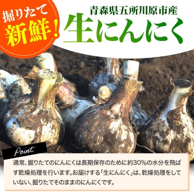 【2026年6月下旬発送開始】掘りたて 生にんにく 青森県産 MLサイズ混合 500g (土つき)