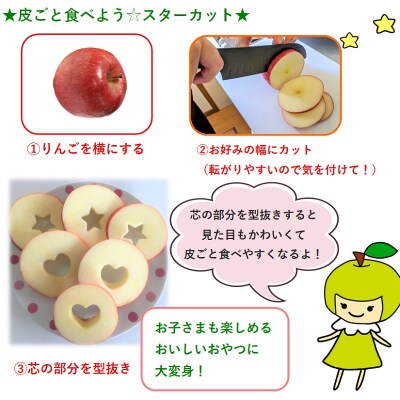 【2026年4月下旬発送】特選 りんご サンふじ 約3kg 贈答用 スマフレTM貯蔵またはCA貯蔵