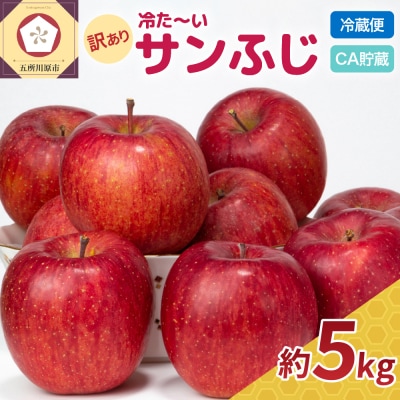 《糖度13度以上》　訳ありりんごサンふじ5kg程度 青森 冷た～いサンふじクール便【順次発送】