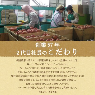 【6月前半発送】りんご ふじ 贈答用 約3kg【有袋栽培 CA貯蔵 クール便 果物 林檎 リンゴ】