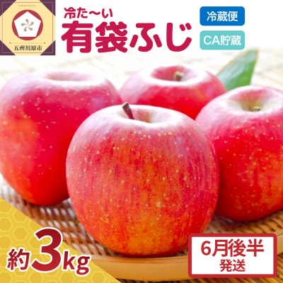 【6月後半発送】りんご ふじ 贈答用 約3kg【有袋栽培 CA貯蔵 クール便 果物 林檎 リンゴ】