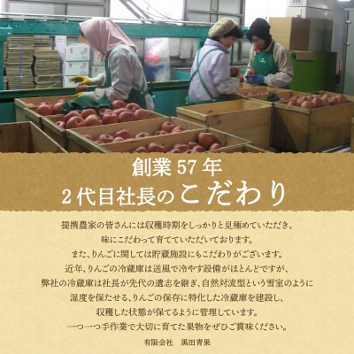 【6月後半発送】りんご ふじ 贈答用 約3kg【有袋栽培 CA貯蔵 クール便 果物 林檎 リンゴ】