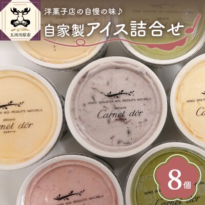 洋菓子店自慢のお手製 アイス 詰め合わせ 100ml×8個入 全6種