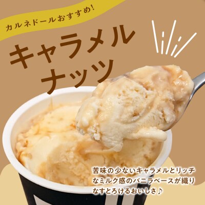 洋菓子店自慢のお手製 アイス 詰め合わせ 100ml×8個入 全6種
