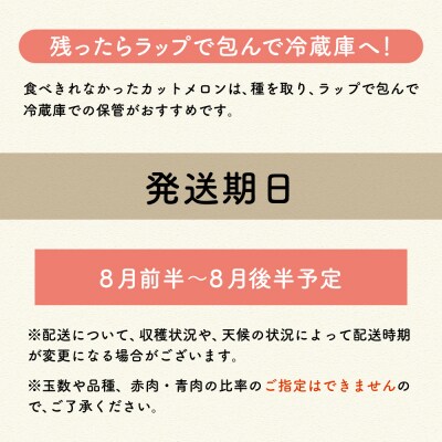 【2026年先行受付】【8月後半発送】 メロン3玉入り 訳あり 約4kg 青肉 中玉 青森県産
