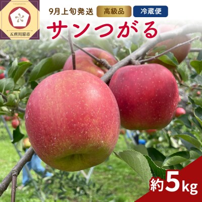 【2025年9月上旬発送】 りんご(サンつがる)約5kg 高級品 春秋園 青森 贈答用