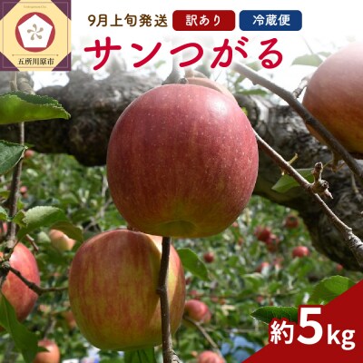 【2026年9月上旬発送】 りんご(サンつがる)5kg 訳あり 春秋園 青森 家庭用