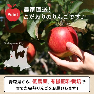 【2026年9月上旬発送】 りんご(サンつがる)5kg 訳あり 春秋園 青森 家庭用