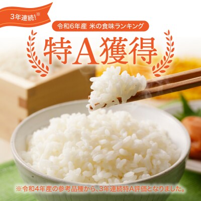【令和7年 新米 先行受付】 米 はれわたり 10kg 特別栽培米 特A 取得歴有 青森県産