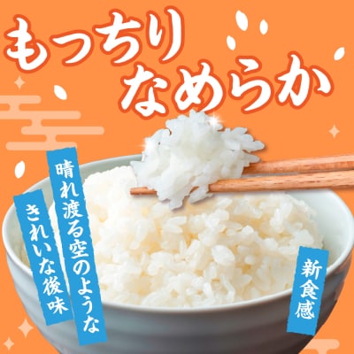 【令和7年産米】 米 はれわたり 10kg 特別栽培米 特A 取得歴有 青森県産