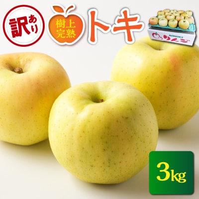【2026年10月発送】【訳あり】 りんご 約3kg トキ〈樹上完熟〉 青森産
