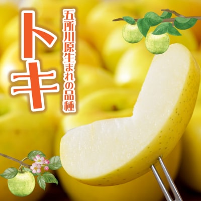 【2026年10月発送】【訳あり】 りんご 約3kg トキ〈樹上完熟〉 青森産