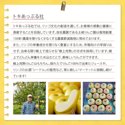 【2026年10月発送】【訳あり】 りんご 約3kg トキ〈樹上完熟〉 青森産