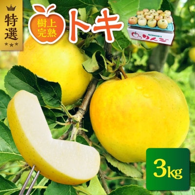 【2025年10月発送】【特選】 りんご 約3kg トキ〈樹上完熟〉 青森産