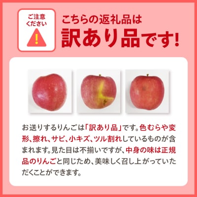【10月後半以降順次発送】 りんご 約5kg 訳あり サンジョナゴールド 青森県産