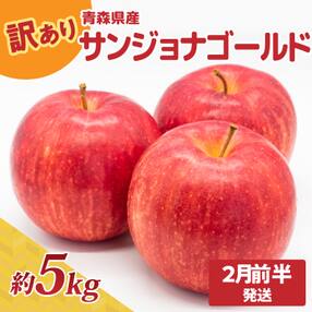りんご 訳あり約5kg サンジョナゴールド【2024年2月前半発送】不揃い青森リンゴ酸味あり