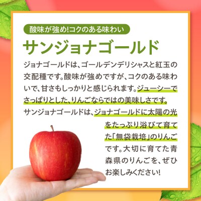 訳あり りんご5kg 程度【2026年2月後半発送】サンジョナゴールド 青森|不揃いリンゴ