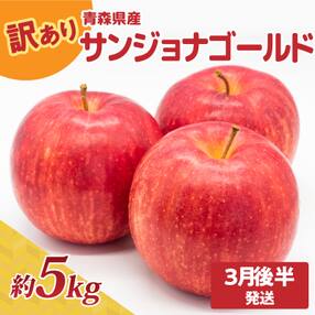 りんご 訳あり約5kg サンジョナゴールド【2024年3月後半発送】不揃い青森リンゴ酸味あり