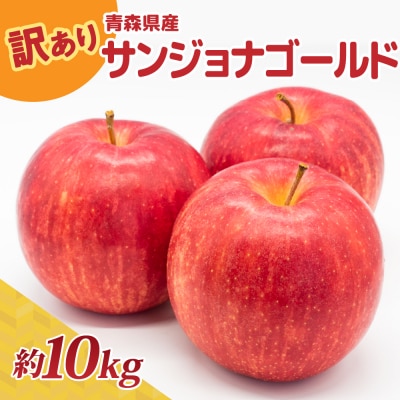【10月後半以降順次発送】 りんご 約10kg 訳あり サンジョナゴールド 青森県産