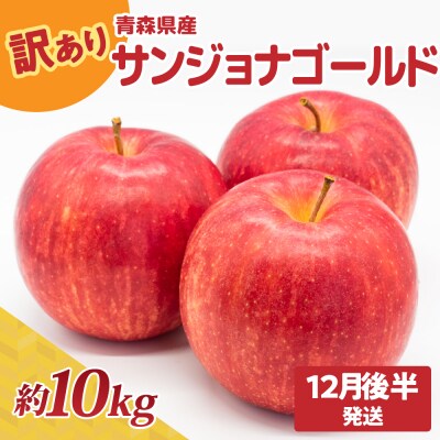 【2025年12月後半発送】青森県産『訳あり』サンジョナゴールド約10㎏