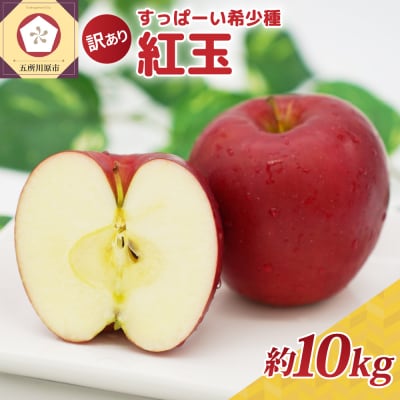 【訳あり】 りんご 約10kg 紅玉 青森県産