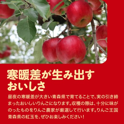 【訳あり】 りんご 約10kg 紅玉 青森県産