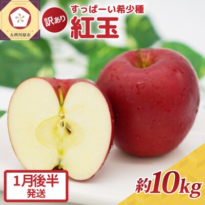 【2026年1月後半発送】紅玉10kg 程度 紅玉リンゴ 訳あり 青森