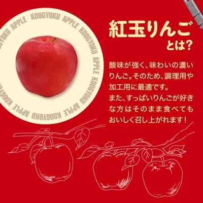 【2026年1月後半発送】紅玉10kg 程度 紅玉リンゴ 訳あり 青森