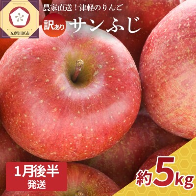 【2026年1月後半発送】【訳あり】 りんご 約5kg サンふじ 青森産