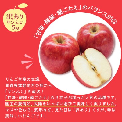 【2026年1月後半発送】【訳あり】 りんご 約5kg サンふじ 青森産