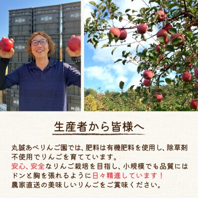 【2026年1月後半発送】【訳あり】 りんご 約5kg サンふじ 青森産