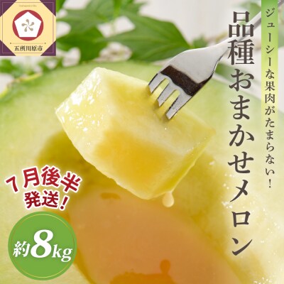 【2026年7月後半発送】津軽のメロン 約8kg 青肉 4～6玉 秀～優 青森県産