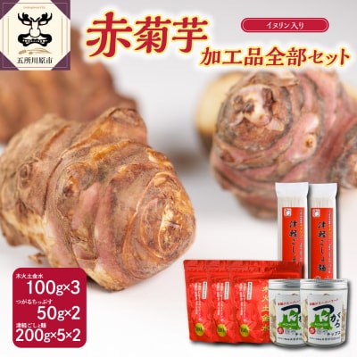 赤菊芋加工品全部セット パウダー300g/チップス100g/うどん200g×10束 きくいもキクイモ