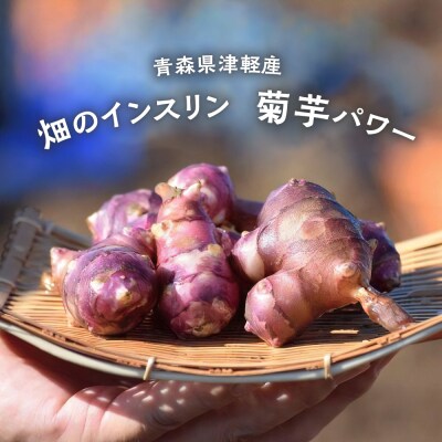 赤菊芋加工品全部セット パウダー300g/チップス100g/うどん200g×10束 きくいもキクイモ