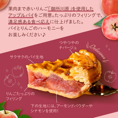 【季節限定】 果肉まで赤～いりんごのアップルパイ (21cmホール) 青森県 五所川原市