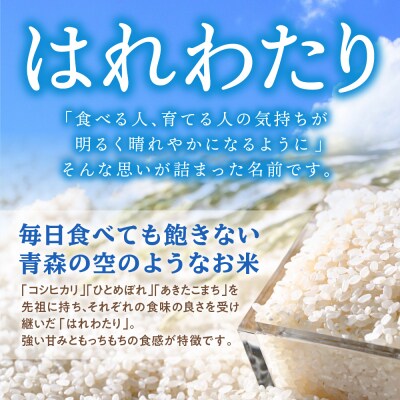 【先行受付】米 10kg はれわたり 令和8年産米 新米 青森県産  ( 精米 5kg ×2) 特A