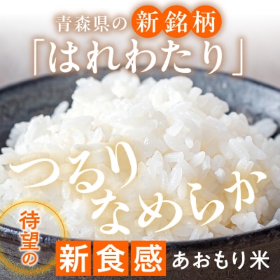 無洗米 10kg 青森県産 はれわたり (精米)