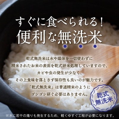 無洗米 10kg 青森県産 はれわたり (精米)