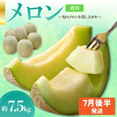 先行受付【2025年7月後半発送】【秀～優品】津軽平野のメロン 約7.5kg程度(青肉) 