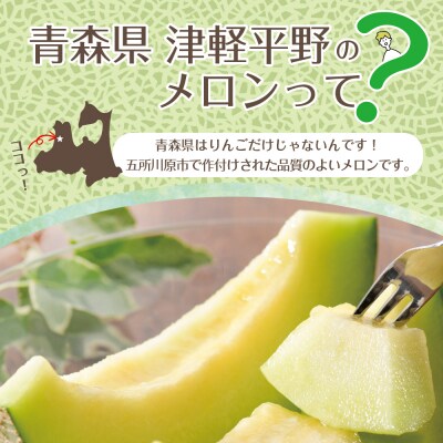 先行受付【2026年7月後半発送】【秀～優品】津軽平野のメロン 約7.5kg程度(青肉) 