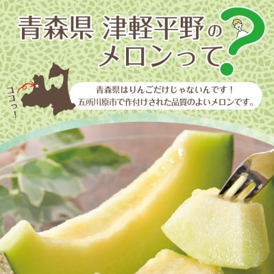 先行受付【2026年8月前半発送】【秀～優品】津軽平野のメロン 約7.5kg程度(青肉) 