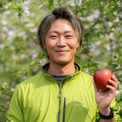 【2025年11月下旬発送】 訳あり りんご サンふじ 約 5kg 青森 果物