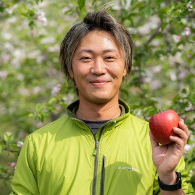 【2025年12月上旬発送】 訳あり りんご サンふじ 約5kg 青森 果物