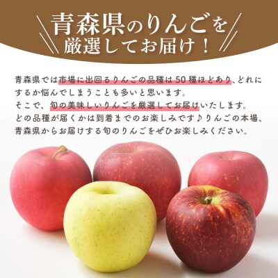 【2026年10月上旬発送】訳あり】おまかせりんご3kg程度 青森【おまかせ1品種】 