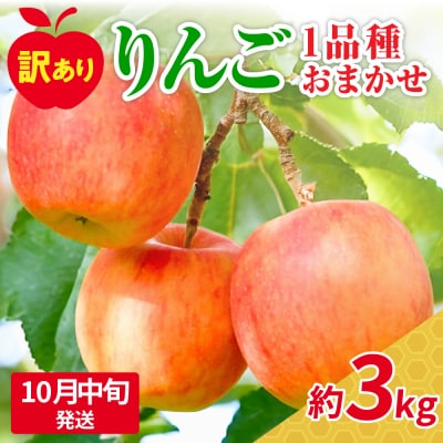 【2025年10月中旬発送】【訳あり】おまかせりんご3kg程度 青森