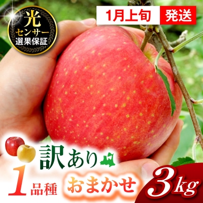 【2027年1月上旬発送】【訳あり】おまかせりんご3kg程度 青森【おまかせ1品種】